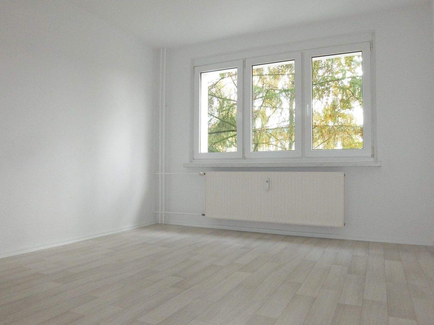 Komfort für Singles & Paare: Frisch sanierte Erdgeschosswohnung mit Balkon und Tageslichtbad – Chemnitz – Vorschaubild 4