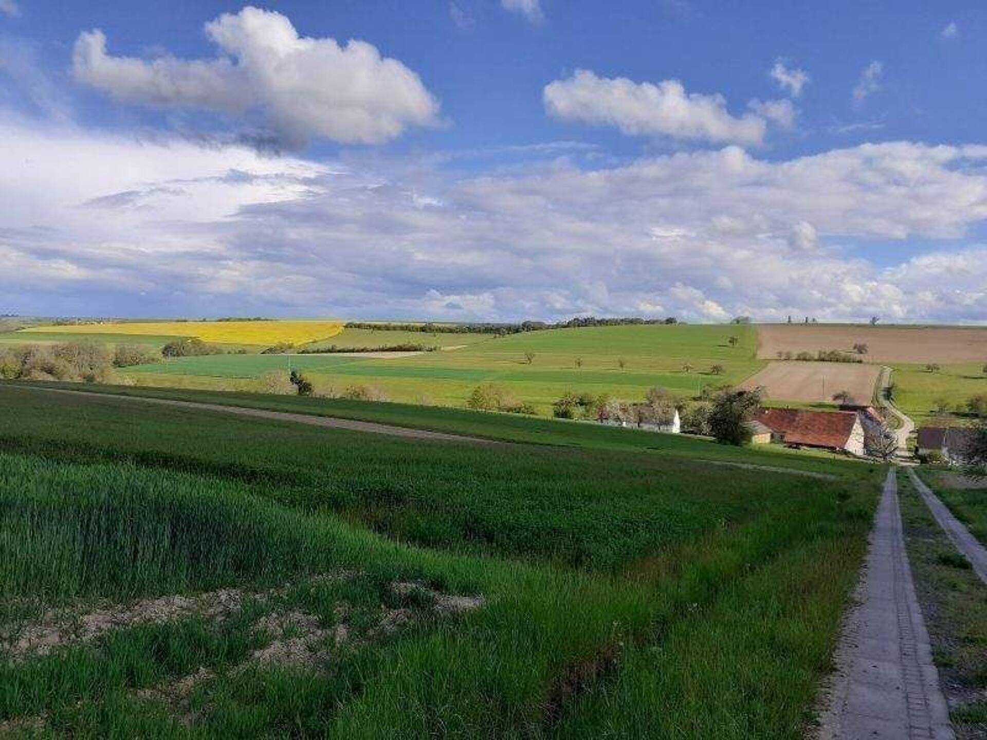 Haus in 66440 Blieskastel mit 160 m² kaufen