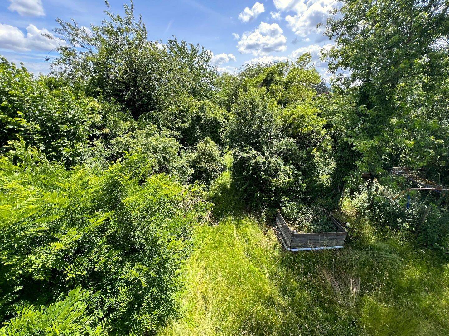 Charmantes Einfamilienhaus mit großer Terrasse und traumhaftem Garten – Ober-Ramstadt – Vorschaubild 4