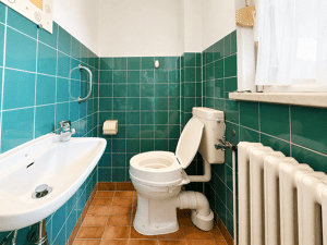 freistehendes Einfamilienhaus | tolle Siedlungslage | idyllischer Garten | Tageslichtbad | Garage – 4207 Leipzig – Vorschaubild 7
