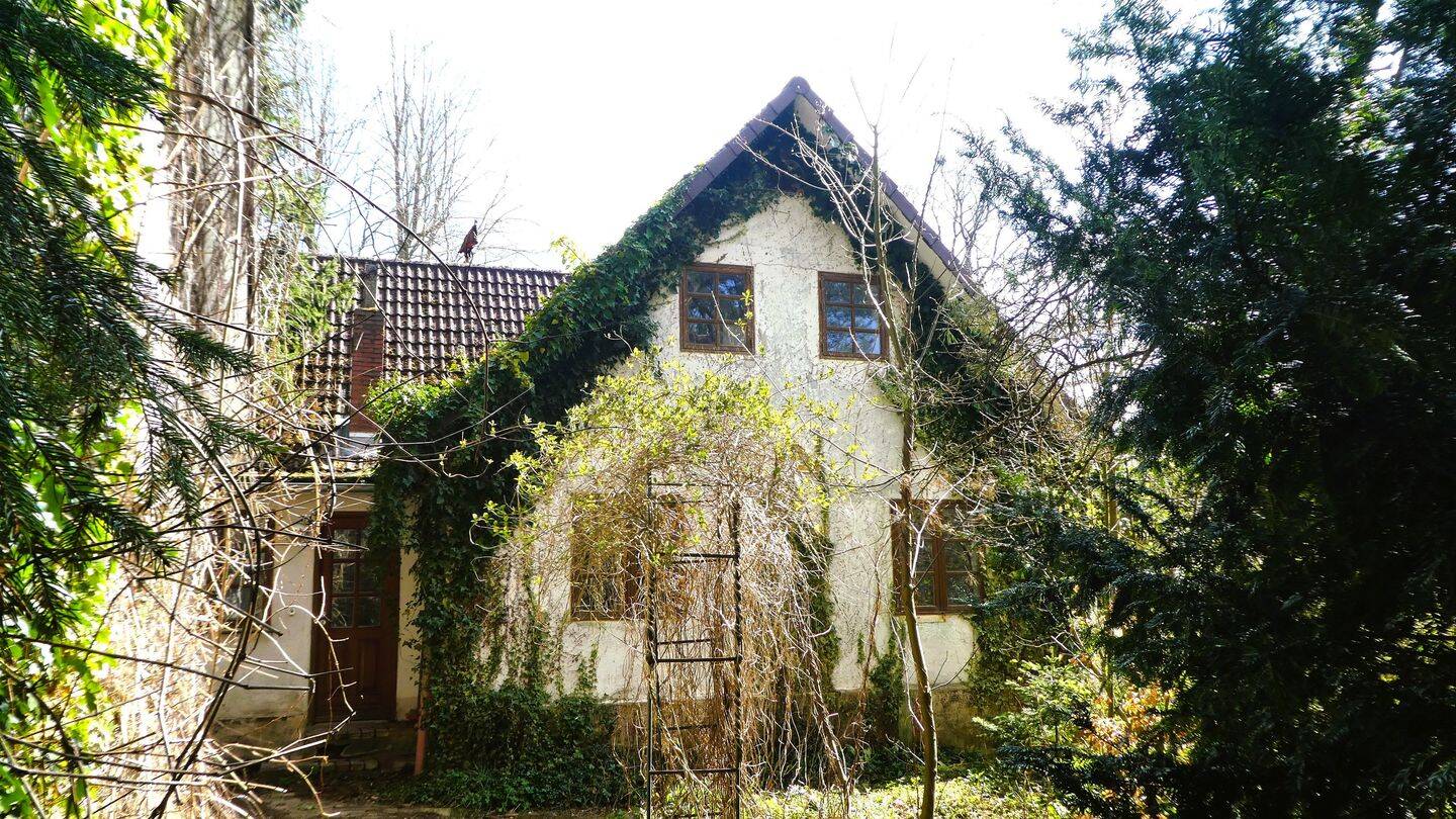 Refugium: Zweifamilien- Handwerkerhaus auf großem Grundstück in Seenähe – Felde – Bild 1 von 9