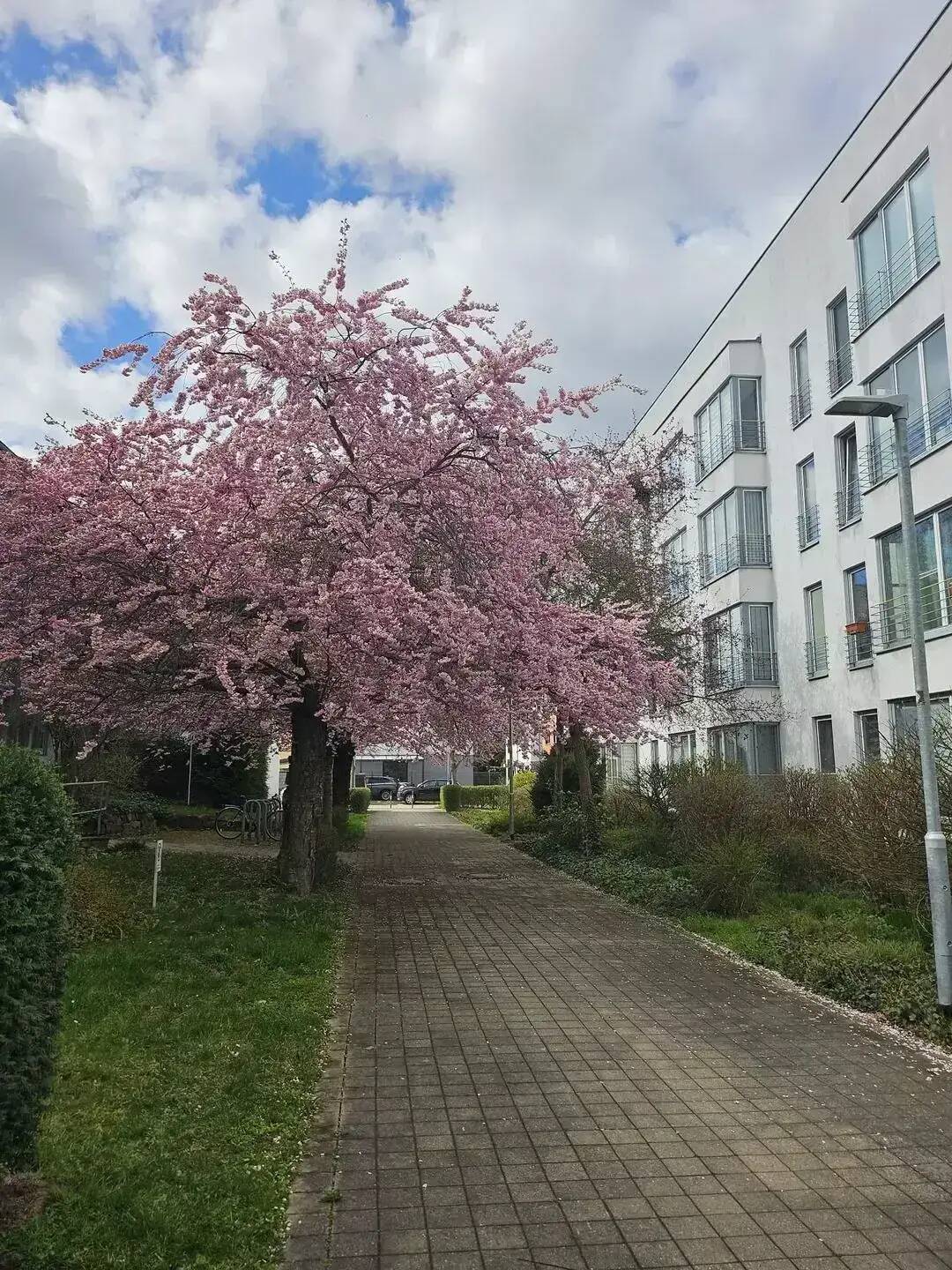 Leipzig - Trendelenburgstraße – Leipzig – Vorschaubild 3