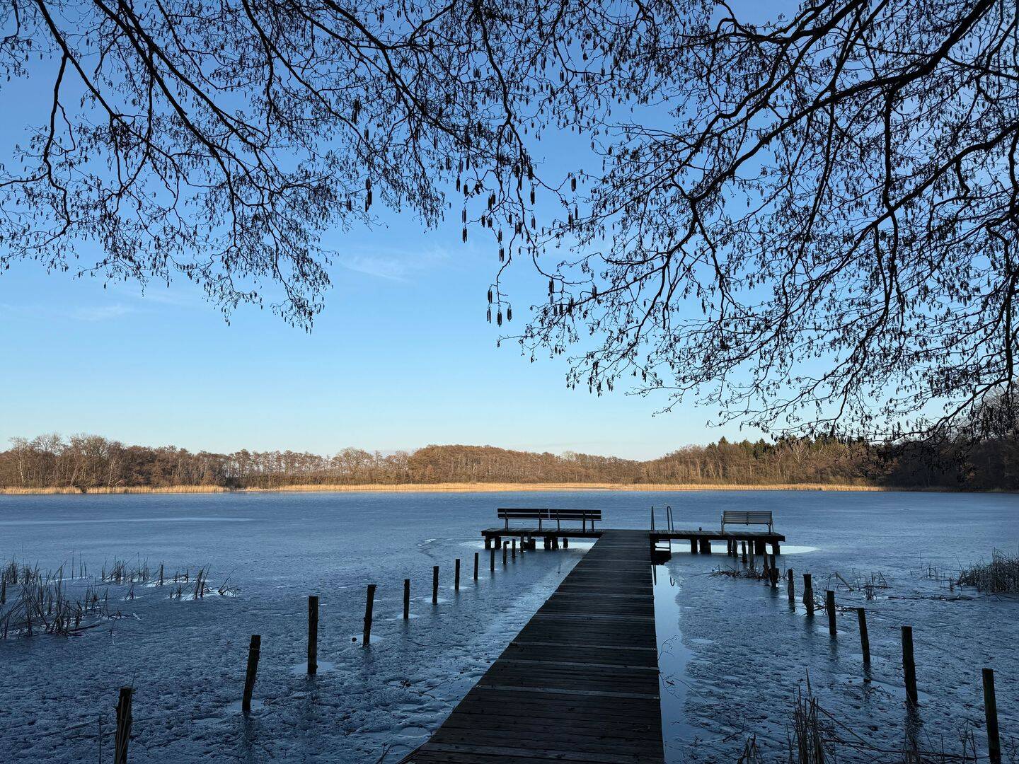 Bungalow mit Wasserblick im Dornröschenschlaf – Lalendorf – Vorschaubild 2