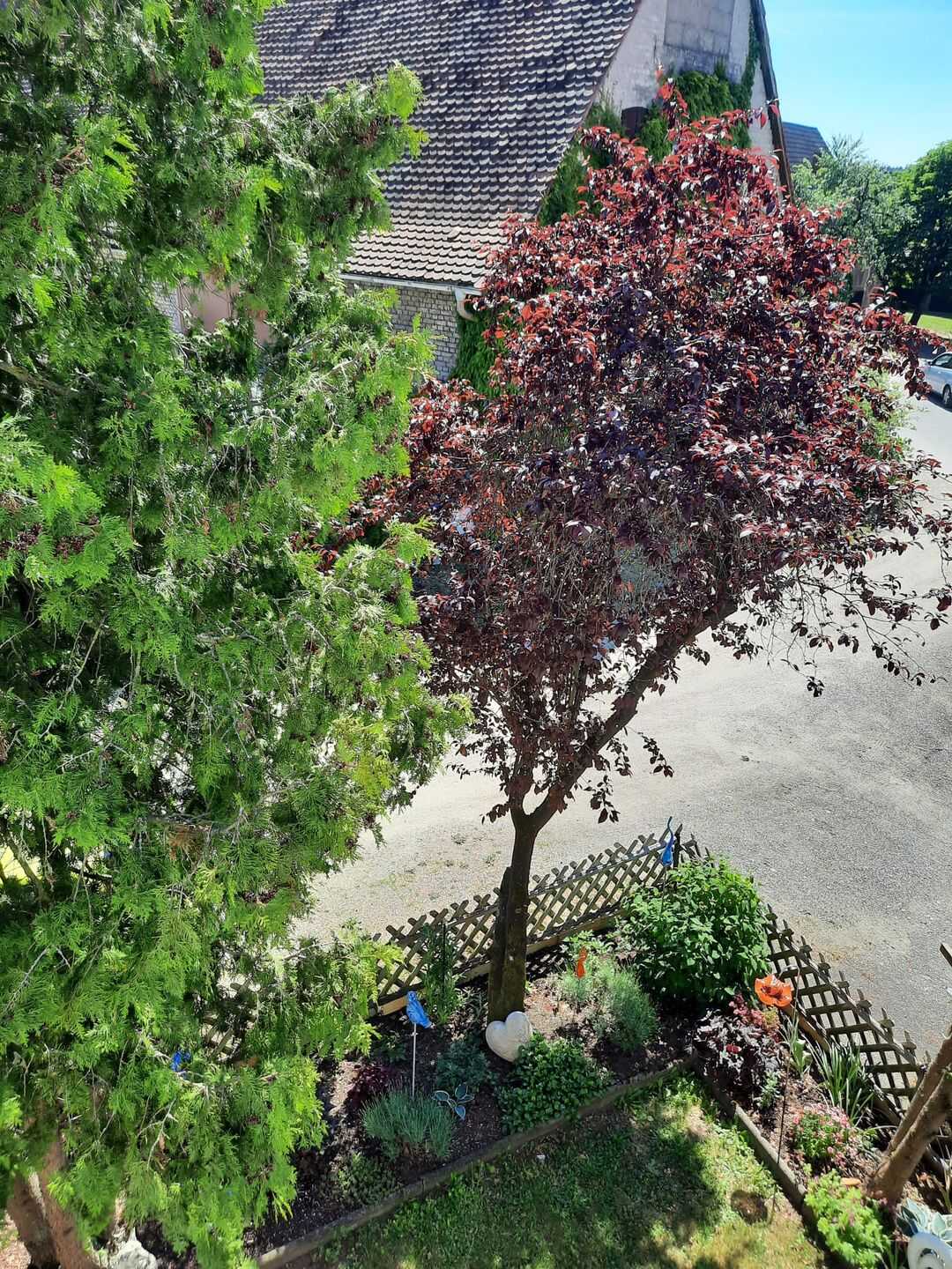 Frisch sanierte 3 zimmer Wohnung, zntl. Behringersdorf – Schwaig bei Nürnberg – Vorschaubild 9