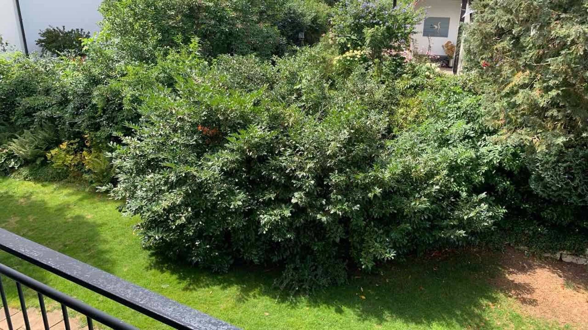 Rohdachboden in 86911 Dießen am Ammeersee mit 133 m² kaufen