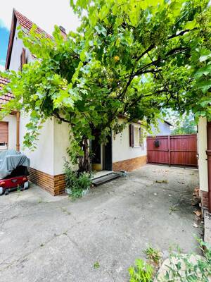Zwei Einfamilienhäuser auf einem Grundstück in Alt-Feudenheim mit Seltenheitswert und Bestandsschutz – 68259 Mannheim – Vorschaubild 5