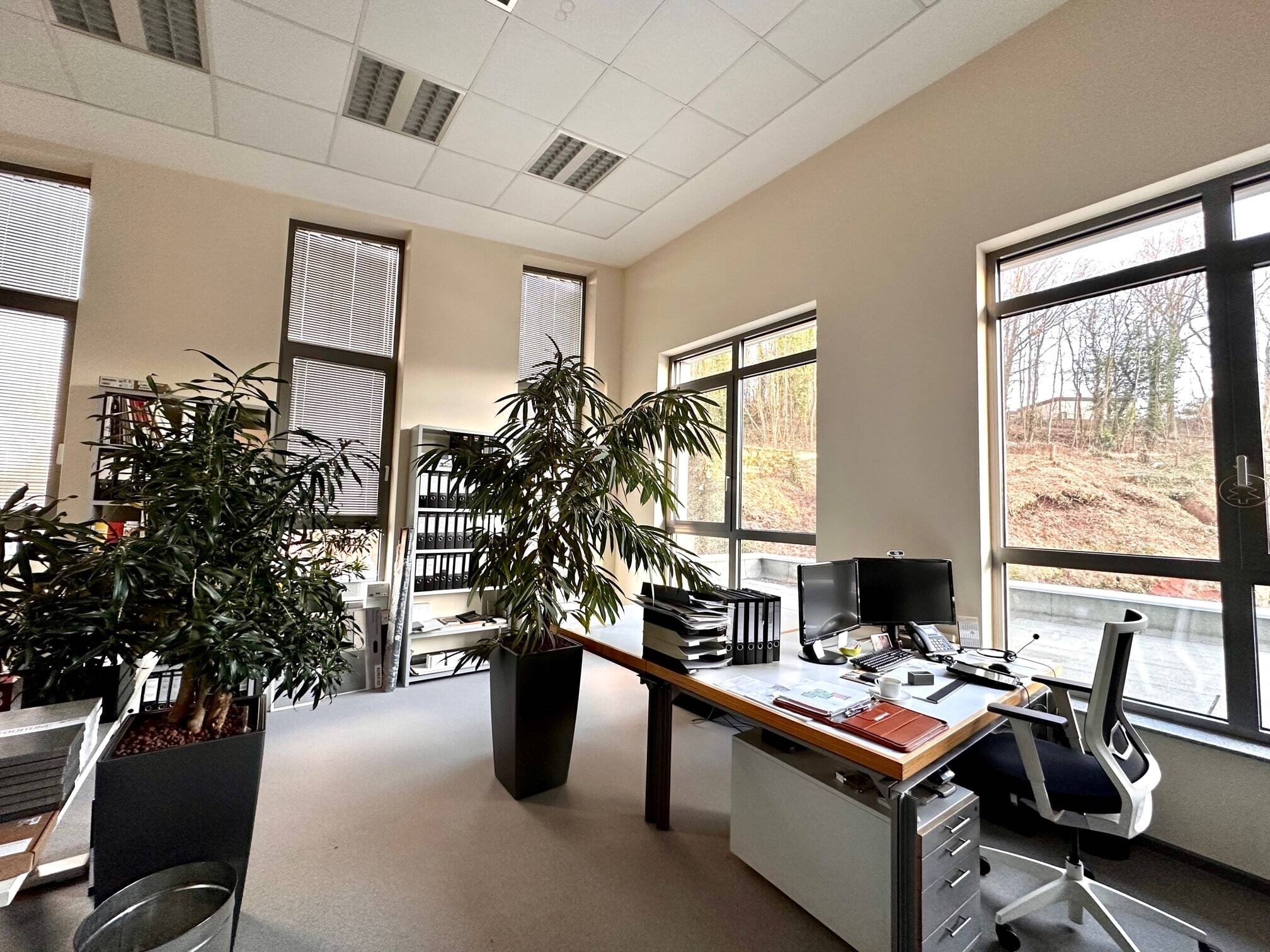 Vorschaubild Büro- /Praxis-Immobilie