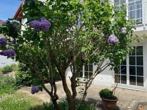 ZuHAUSe mit 5 Zimmern in Feldmoching – 80995 München – Vorschaubild 8