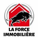 LA FORCE IMMOBILIERE logo