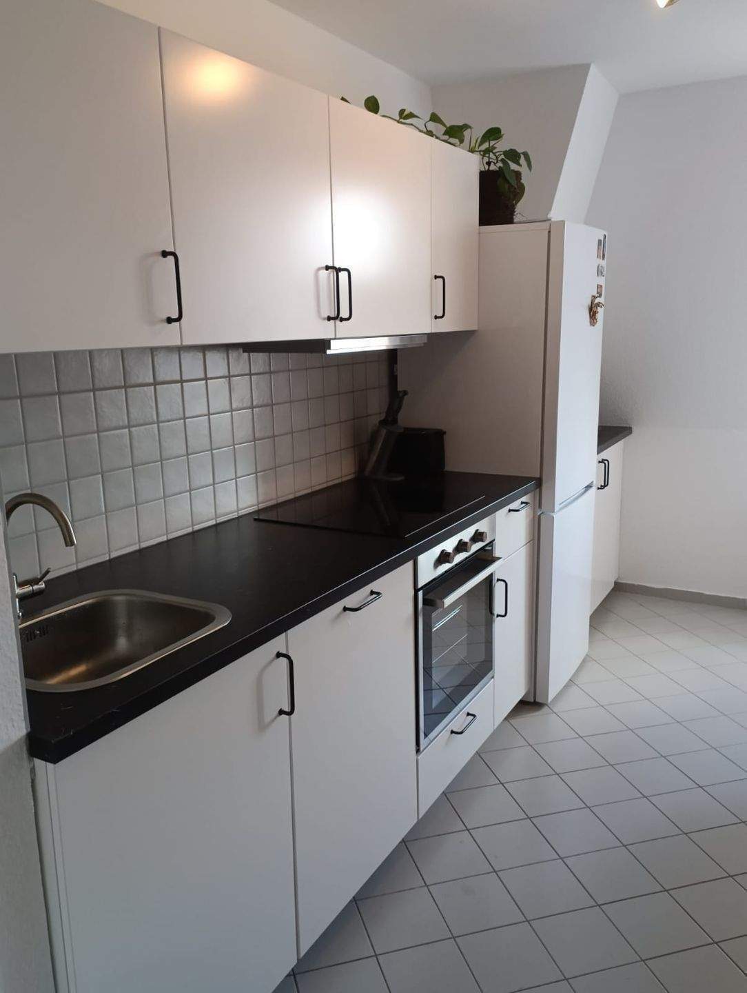Freie gemütliche sonn. 2,5 DG-Mais.-Wohnung mit mod. EBK + Stellplatz in ruhiger Lage v. Dresden-Löbtau – Dresden – Vorschaubild 8