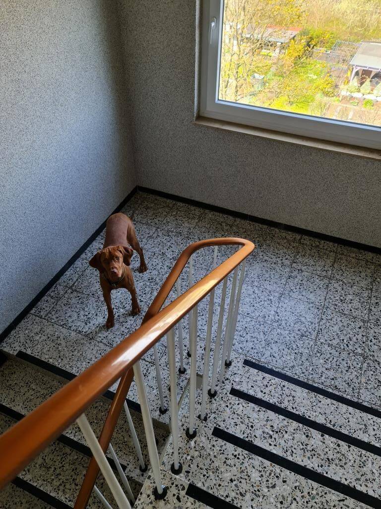 Sehr großzügige und leerstehende Eigentumswohnung mit Balkon zum provisionsfreien Erwerb – Köln – Vorschaubild 6