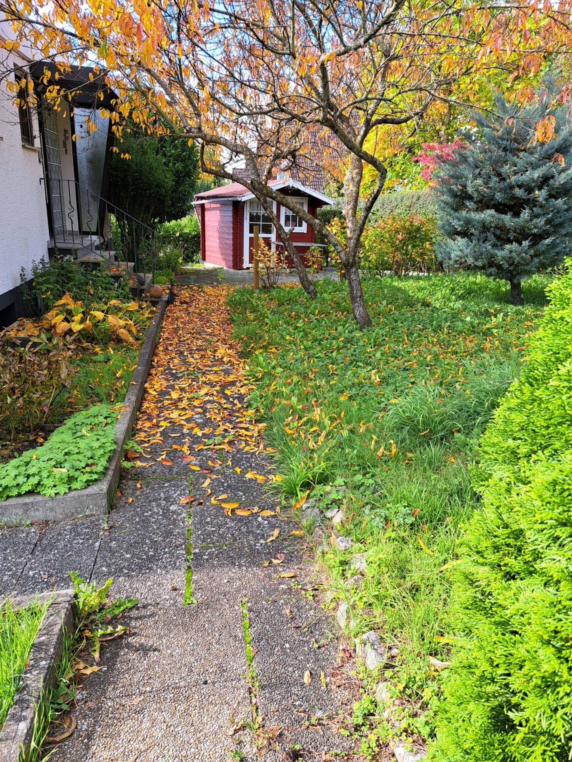 Haus in 86609 Donauwörth mit 175 m² kaufen