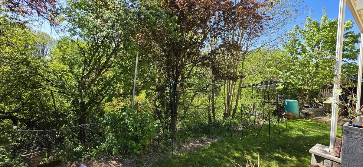 Vermietetes Einfamilienhaus in hervorragender Lage von Ampfing – Ampfing – Vorschaubild 4