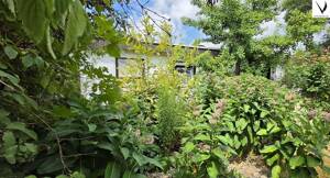 Familienglück auf einer Ebene - Bungalow mit großem, sichtgeschütztem Garten & Garage in WÜ-Heuchelhof – 97084 Würzburg – Vorschaubild 9