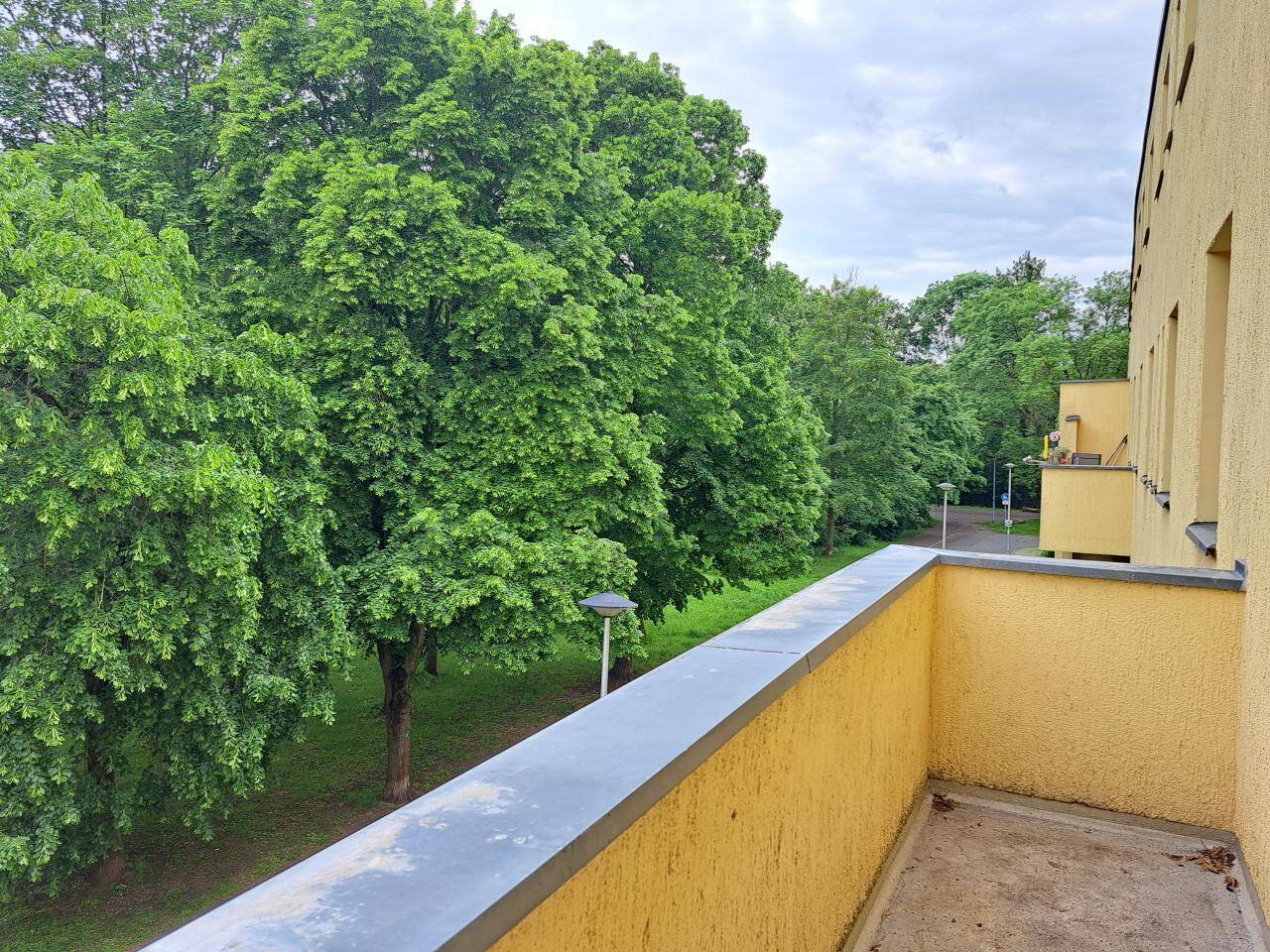 Dein Sommer-Bonus: Traumwohnung sichern und 1. Kaltmiete sparen! – Magdeburg – Vorschaubild 5