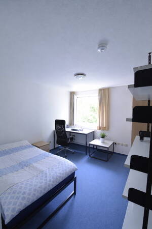 *** 3 x ca. 19 m² Studenten-Studios - Einzeln oder im Bundle*** – 48161 Münster – Vorschaubild 3