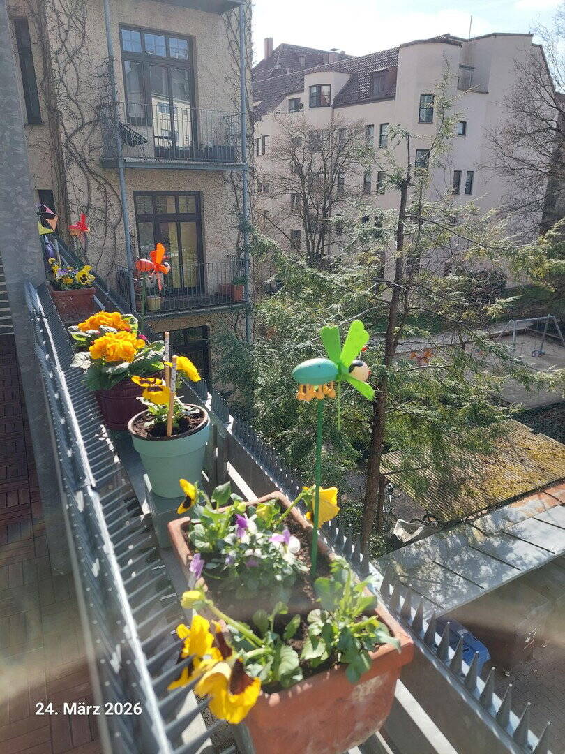Urbane Wohnidylle im Vinzenzviertel - 3 Zimmer mit Altbauflair und Potential