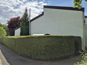 Lichtdurchflutetes Reihenendhaus am Waldrand - familienfreundlich & stadtnah in Ulm-Wiblingen – 89079 Ulm – Vorschaubild 6