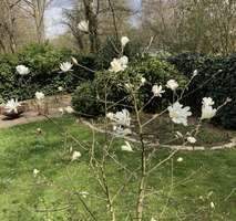 Außergewöhnliche MFH - Hälfte : Generationshaus am Park ! Therapeutisch ruhige Grünlage – Bielefeld – Vorschaubild 9