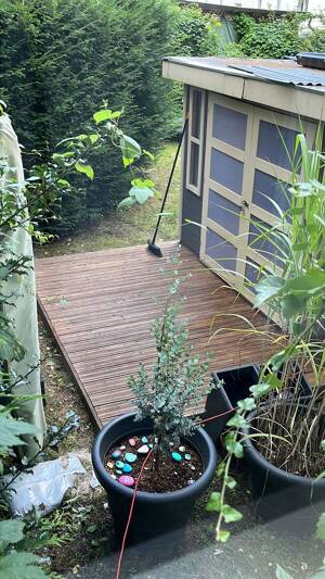 1-Zimmerwohnung mit eigenem Garten HH-Uhlenhorst Alsternähe – 22085 Hamburg – Vorschaubild 9