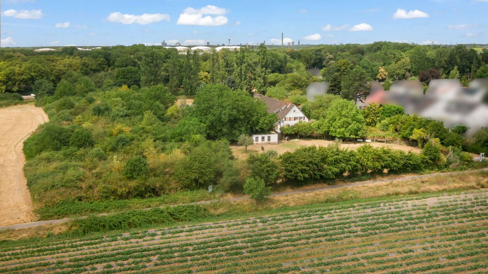 Haus in 50999 Köln mit 386,36 m² kaufen