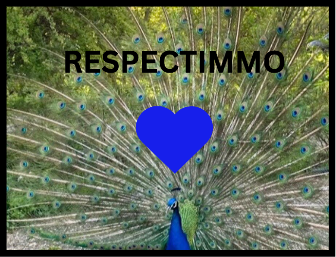 RESPECTIMMO logo