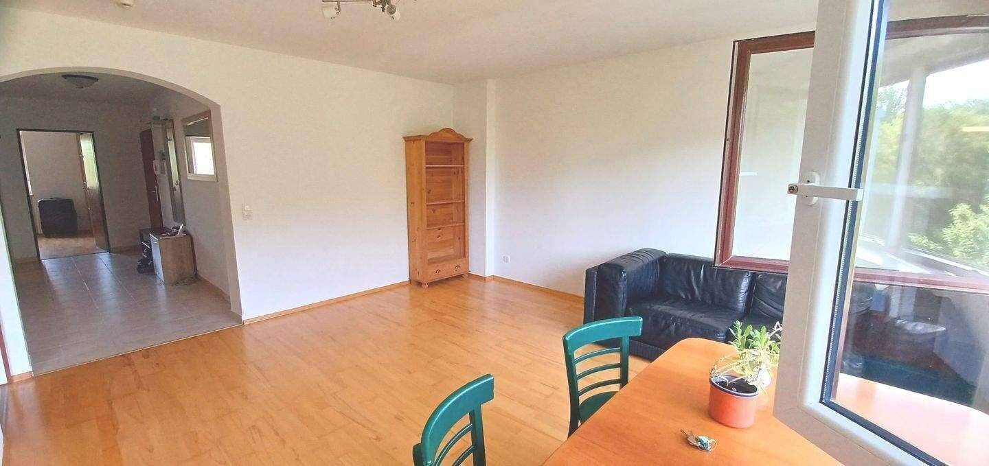 Großzügige, helle 2 ,5 Zim. Wohnung unverbaubarer Blick auf die Donau! – Regensburg – Vorschaubild 2