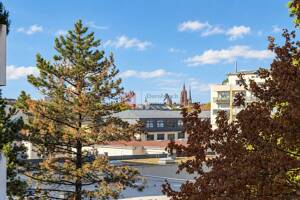 Top!! 2 Zi Whg mit Balkon in Bestlage von Sachsenhausen Süd – 60598 Frankfurt am Main – Vorschaubild 3