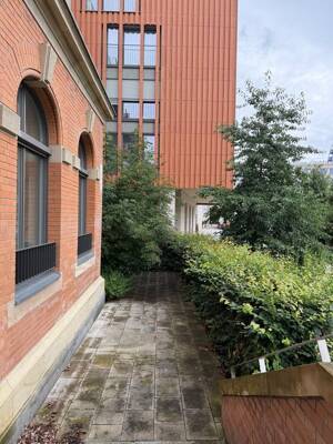 Zentrale 3,5-Raum-Wohnung: Einbauküche und Terrasse – 1067 Dresden – Vorschaubild 3