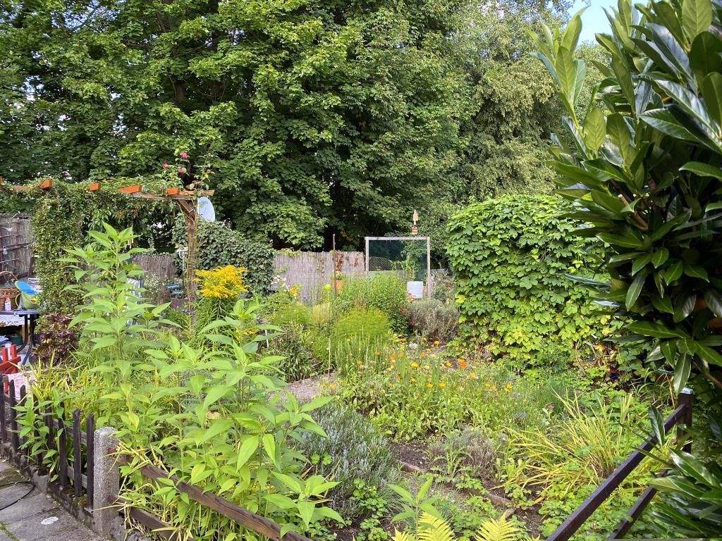 Gepflegte 3 Zimmer Wohnung in ruhiger, gut angebundener Lage - dicht Küchwaldpark – Chemnitz – Vorschaubild 6