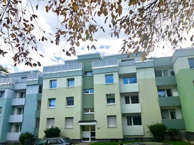 3 Zimmerwohnung im EG !