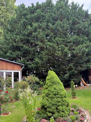 Hauptstadtmakler-Aufgeteiltes Mehrfamilienhaus mit Top Rendite – 12459 Berlin – Vorschaubild 8