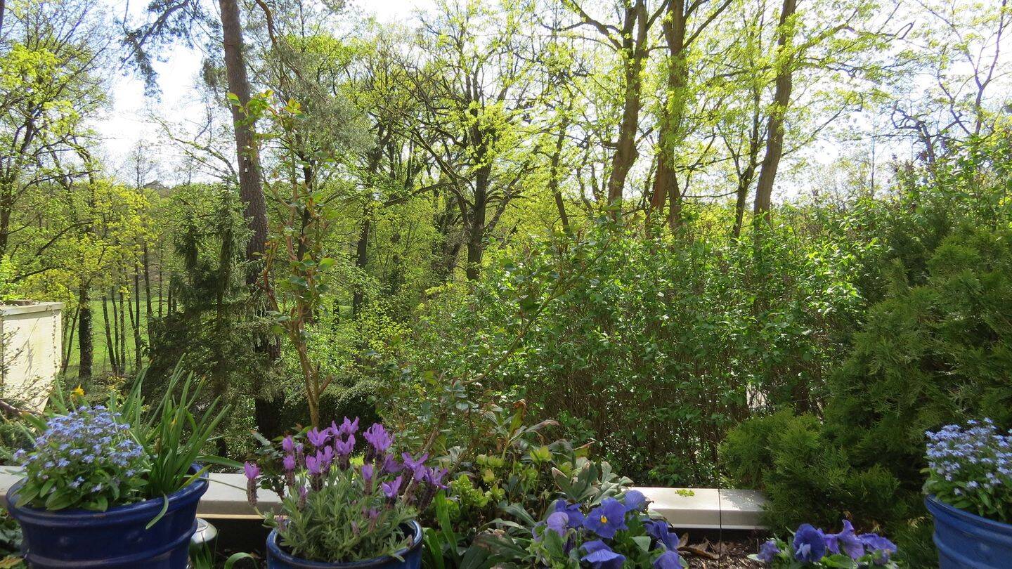 Berlin-Grunewald, beste Lage im EG (zur Waldseite 1.OG durch Hanglage) mit großer Süd-Terrasse und herrlichem Blick in die Natur - Einzelgarage – Berlin – Vorschaubild 3