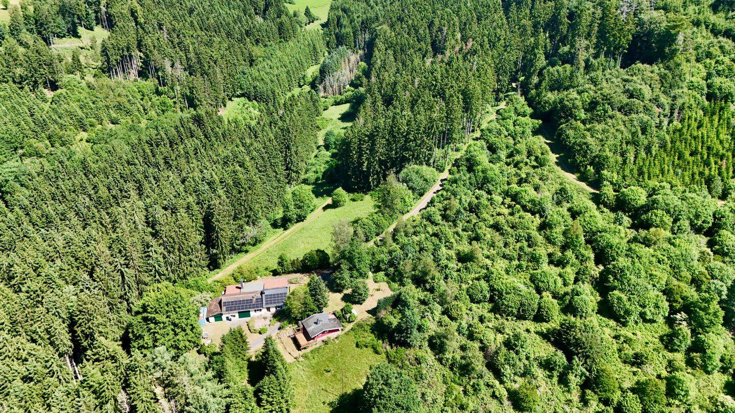 Seltenes Juwel, in einmaliger Alleinlage mitten im Wald, autarkes Einfamilienhaus mit Nebengebäuden und ein gemütliches Holzhaus auf großem Grundstück