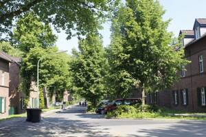 modernisierter Altbau, grün und ruhig mit Bus fast vor der Tür