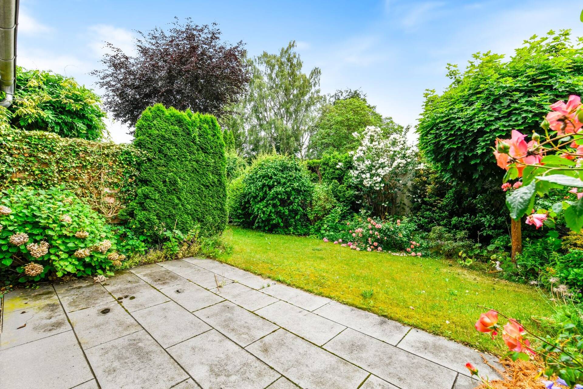 Haus in 22869 Schenefeld mit 118,09 m² kaufen
