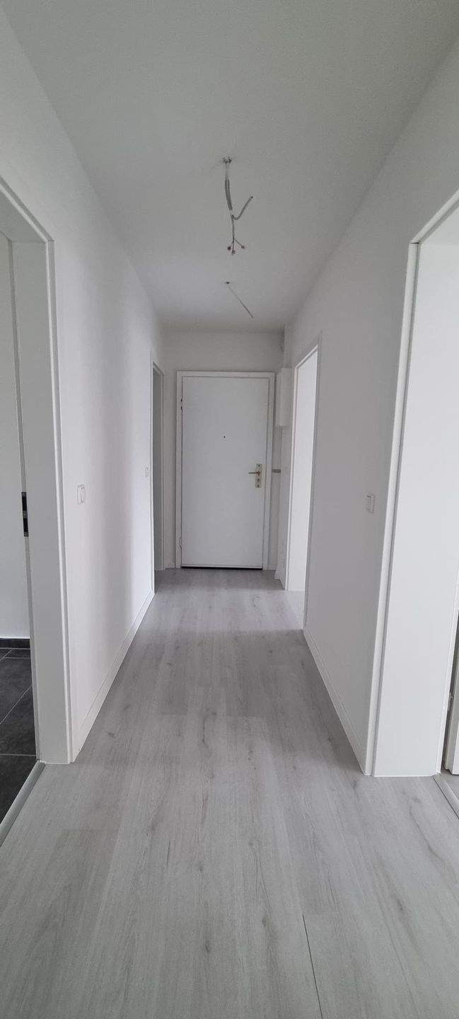 Lichtdurchflutete Traumwohnung! Moderne 3-Raum-Wohnung in Sudenburg – Magdeburg – Vorschaubild 4