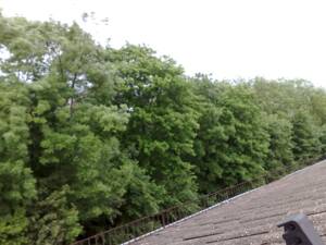 Tannenwäldchen: Zentral gelegene renovierte Wohnung mit Blick auf Kassel – 34119 Kassel – Vorschaubild 2