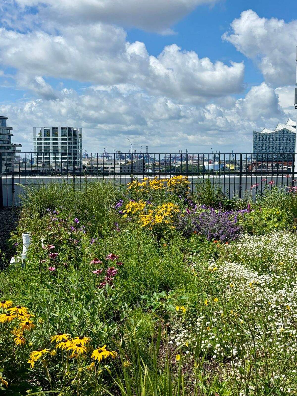 Private Dachterrasse (70 qm) & Garten (120 qm) und Elbphiblick im 9. OG mit Fitness, Co-Working uvm. – 20457 Hamburg – Bild 1 von 9