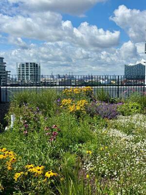 Private Dachterrasse (70 qm) & Garten (120 qm) und Elbphiblick im 9. OG mit Fitness, Co-Working uvm.