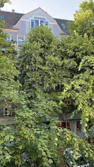 Wohn- & Lebensqualität im Friedrichshain – Sonnige, modernisierte 2-Zimmer-Wohnung in begehrter Lage – 10247 Berlin – Vorschaubild 4