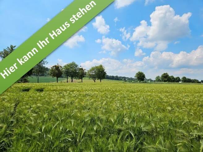 Mit Grundstück: Der Town & Country Bungalow für jedes Alter in Bennigsen - modern und vielseitig – Springe – Vorschaubild 2
