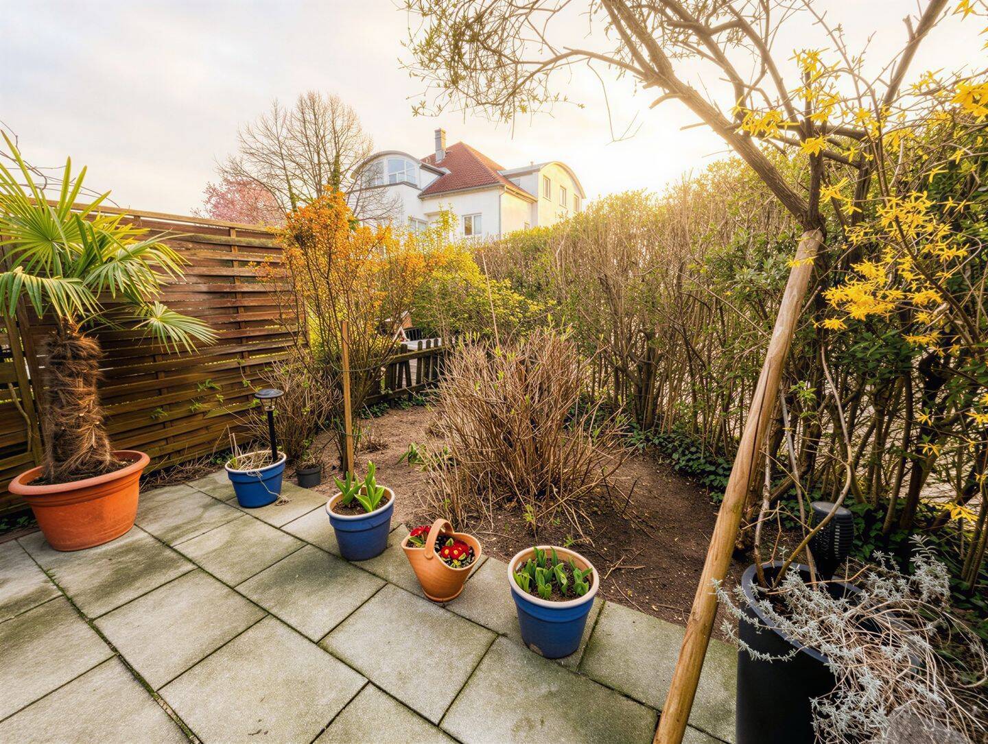 Wohnen wie im Haus: 3-Zimmer-Gartenwohnung mit großer Terrasse in Grünau – Berlin – Vorschaubild 6