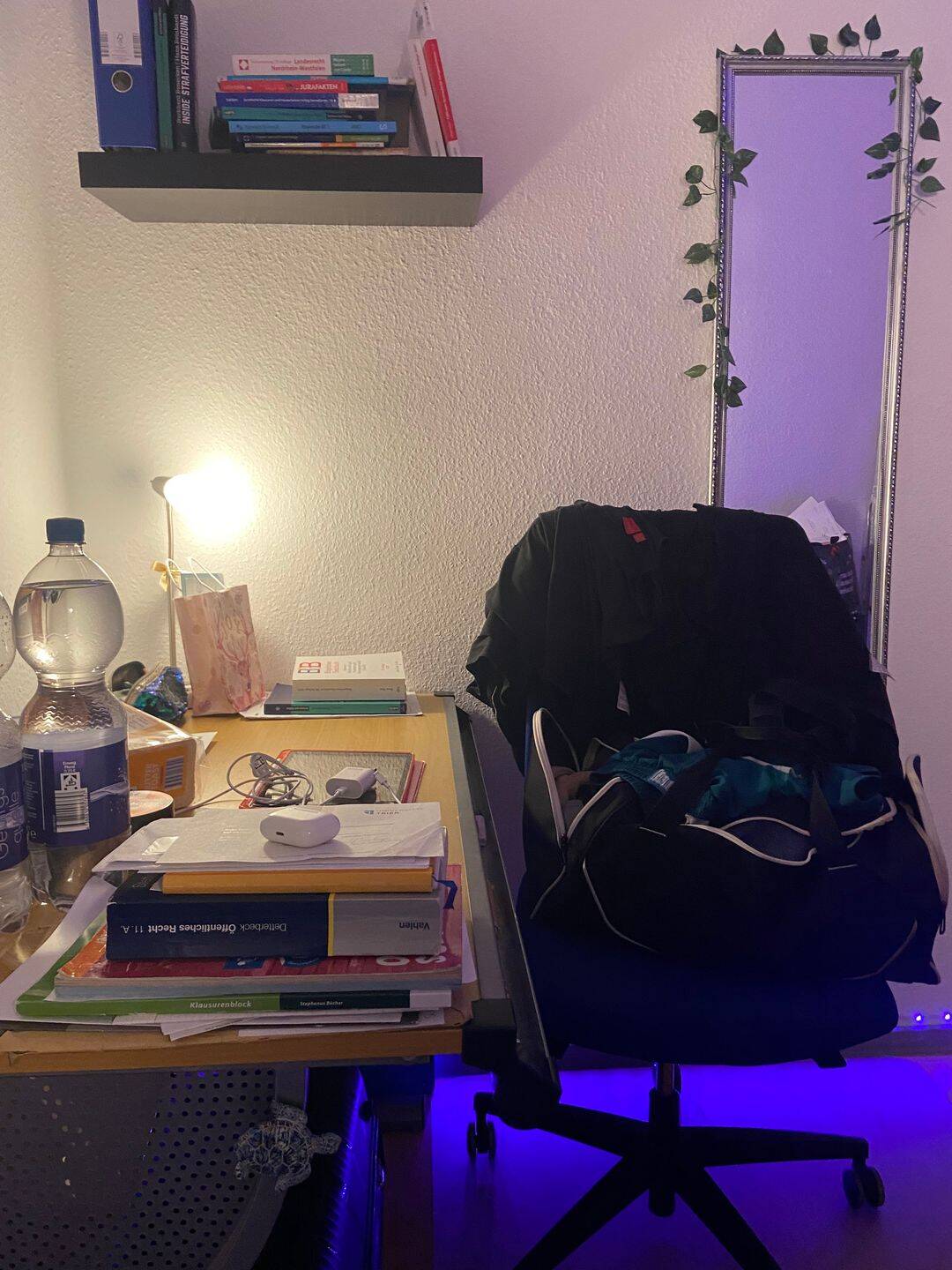 DRINGEND NACHMIETERIN GESUCHT – Bonn – Vorschaubild 5