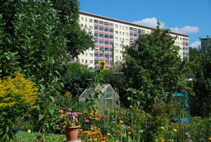 Balkonwohnung nahe Zeisigwald – 9130 Chemnitz – Vorschaubild 4