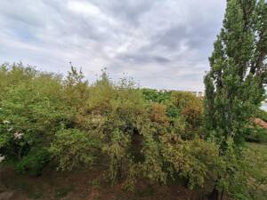 **Wohnglück auf 2 Zimmern - frisch saniert u. mit Balkon** – 39128 Magdeburg – Vorschaubild 9