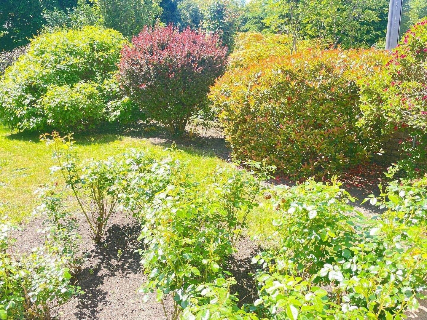Genießen Sie den Sommer in Ihrem neuen großen Garten in Mögeldorf SOFORT FREI