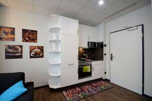verfügbares 1-Zimmer-Apartment für 2 Personen, modern und voll ausgestattet, zentral Offenbach – 63065 Offenbach am Main – Vorschaubild 5