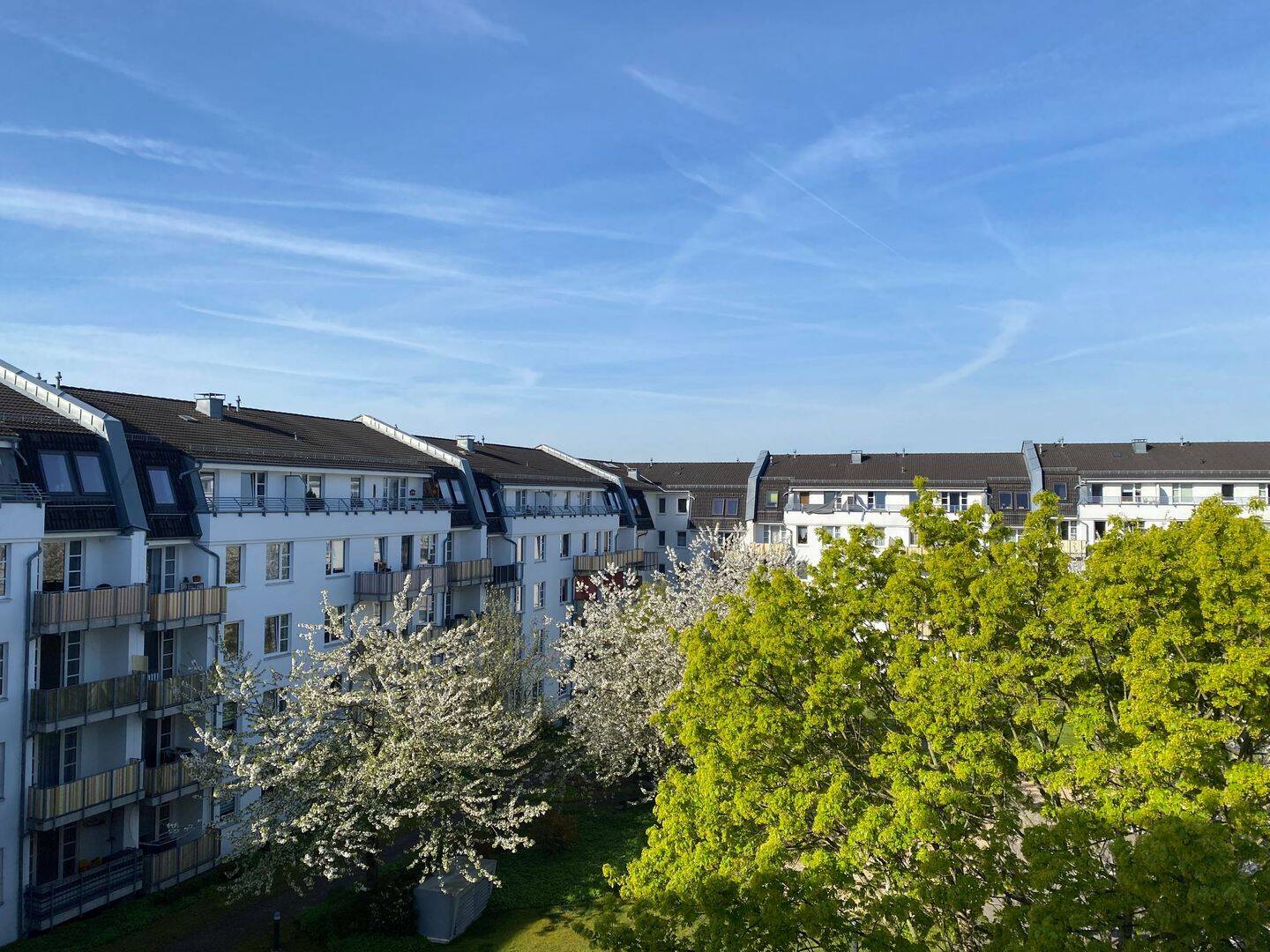 Sonnige Zweiraumwohnung im grünen Schloßchemnitz – Tannenstraße 17, 9113 Chemnitz – Vorschaubild 2