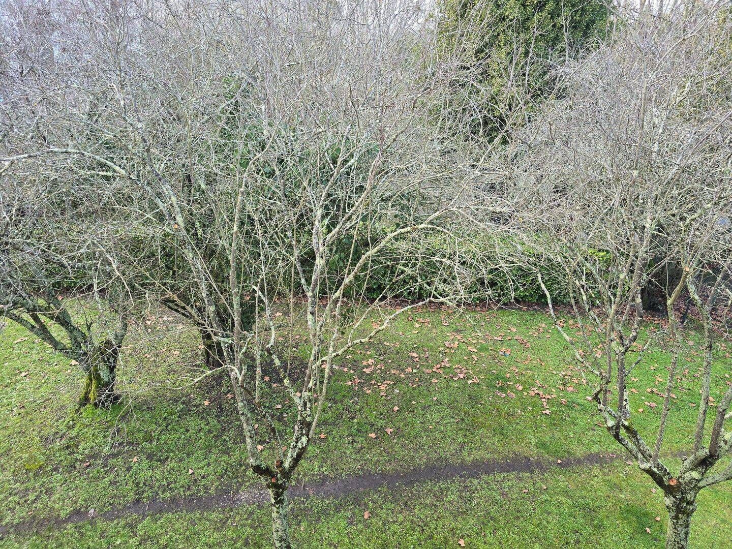 Appartement 3 pièces 70 m² · à Mérignac · 70 m² · 1 250 €/mois